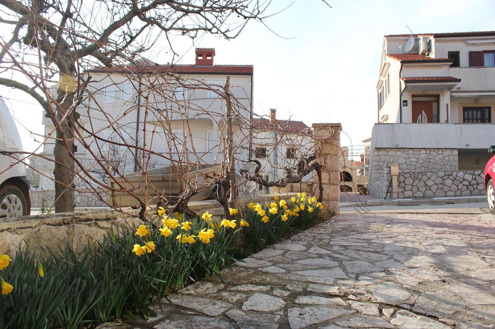 Apartments Vitkovic Cres Bagian luar foto
